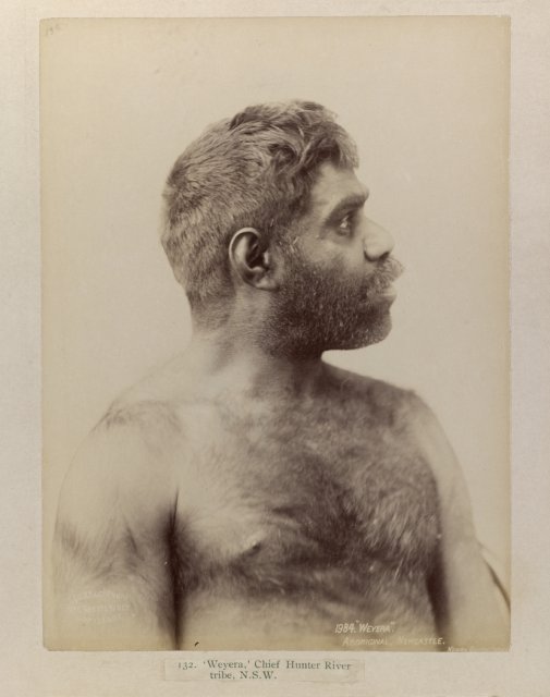 Weyera, Chief of the Hunter River Tribe by Charles Kerry c1890. SLNSW